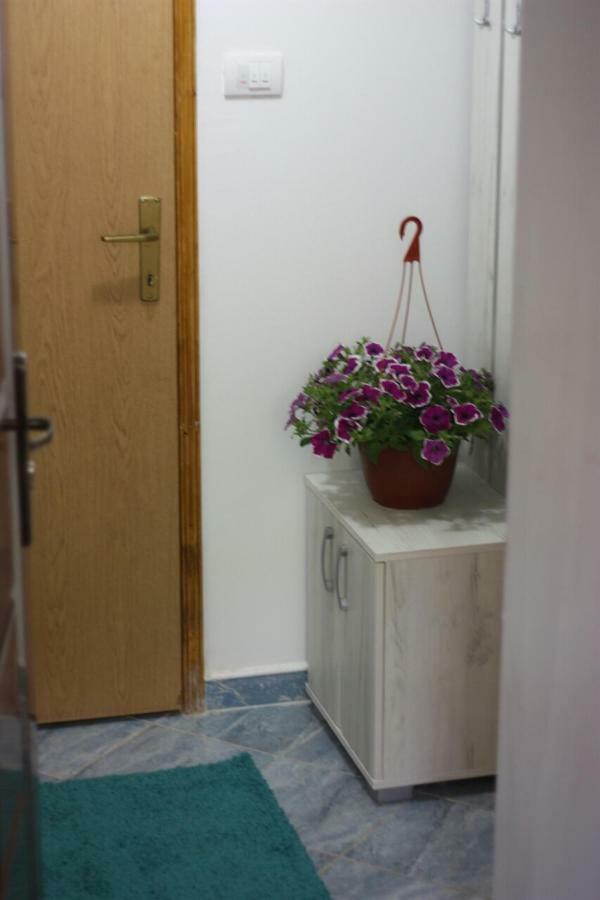 Apartment Voortex トレビニエ エクステリア 写真