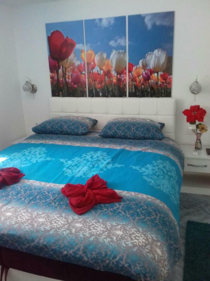 Apartment Voortex トレビニエ エクステリア 写真