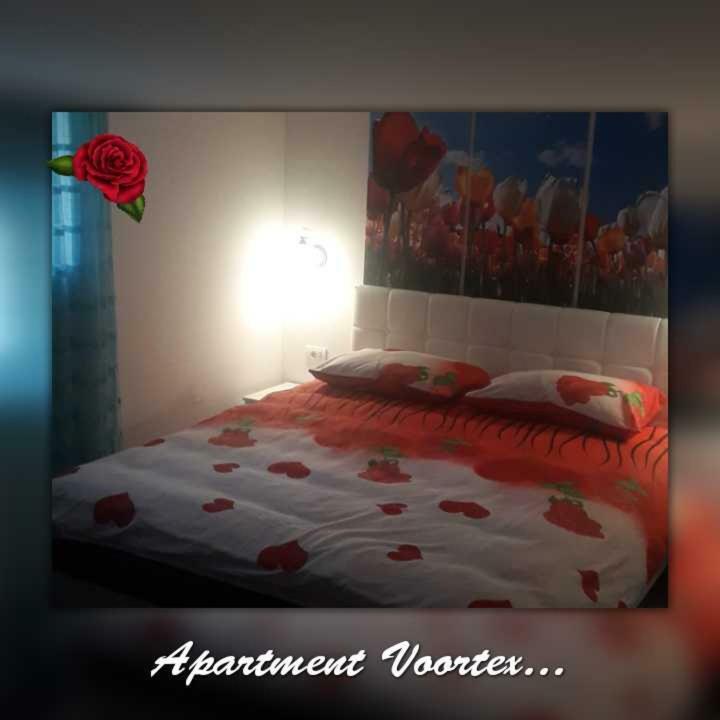 Apartment Voortex トレビニエ エクステリア 写真